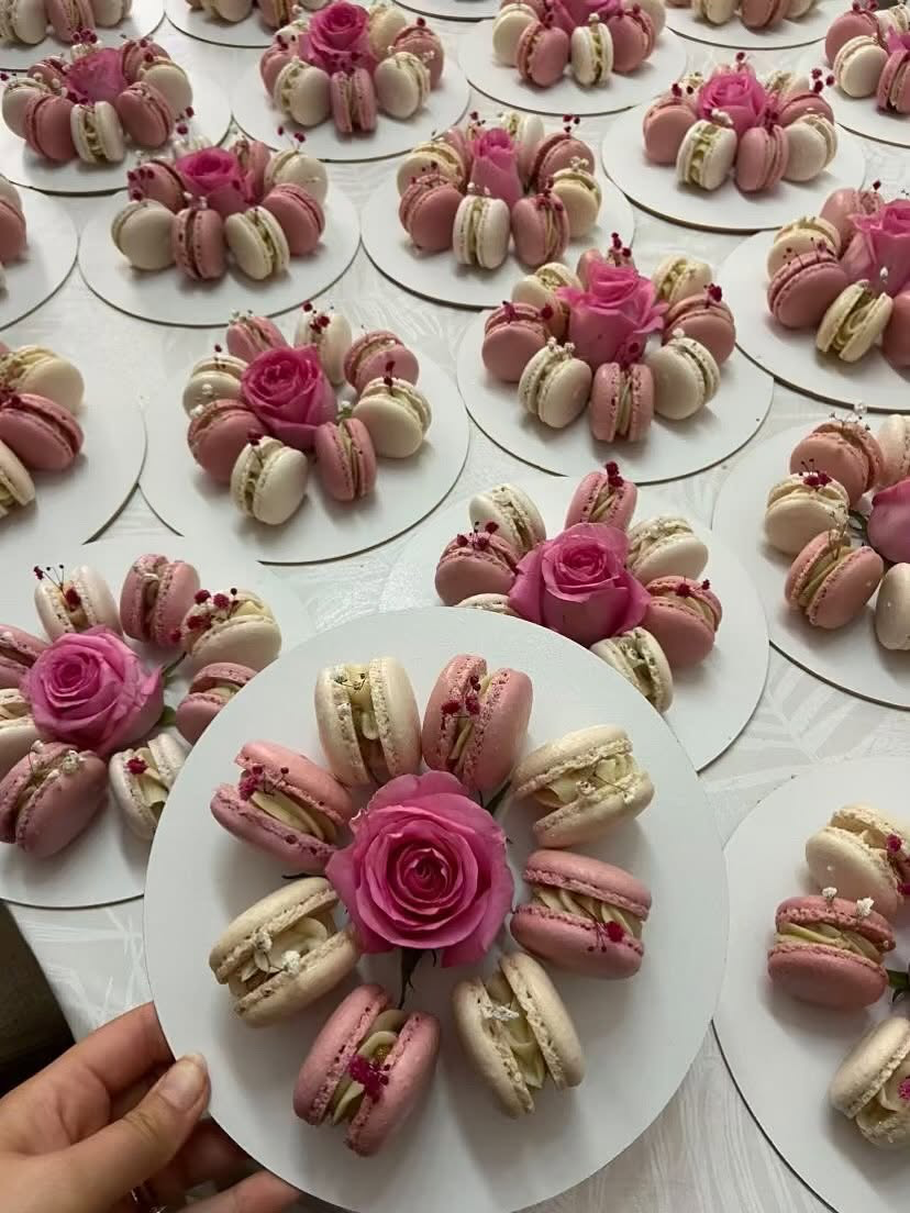 Assiettes de macarons roses et ivoire avec rose fraîche
